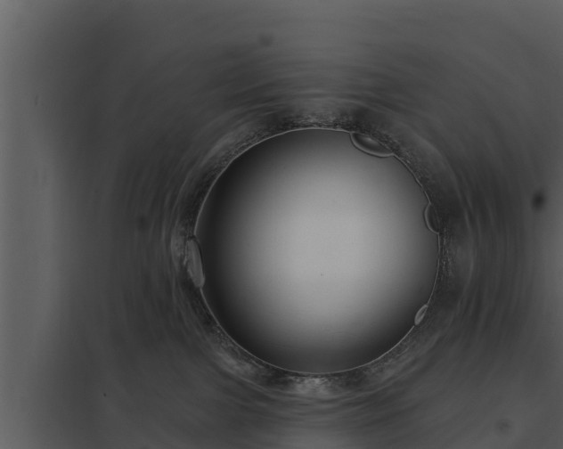 X0000097950091200804011645