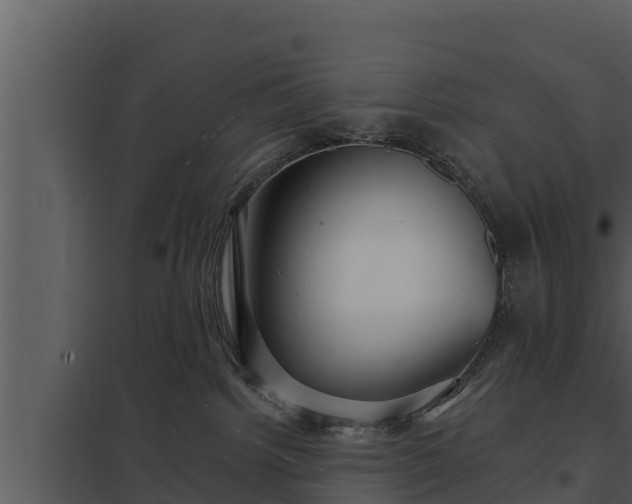X0000097950092200804011645