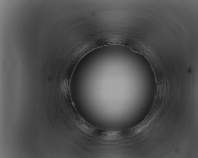 X0000097950093200804011645