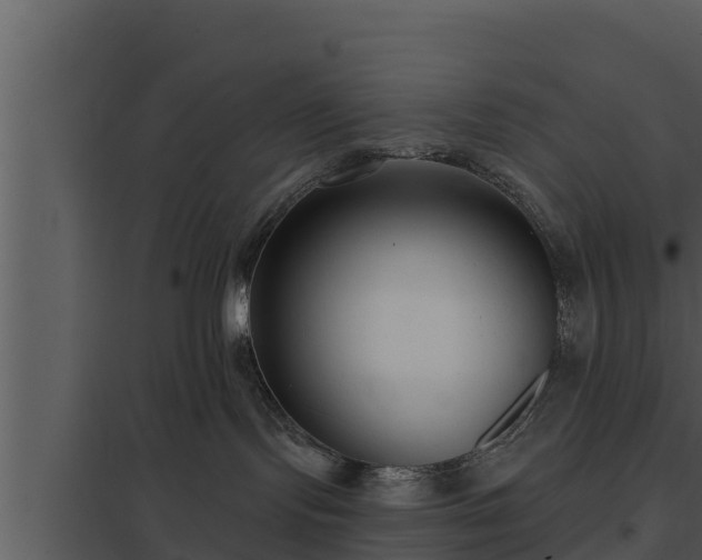 X0000097950095200804011645