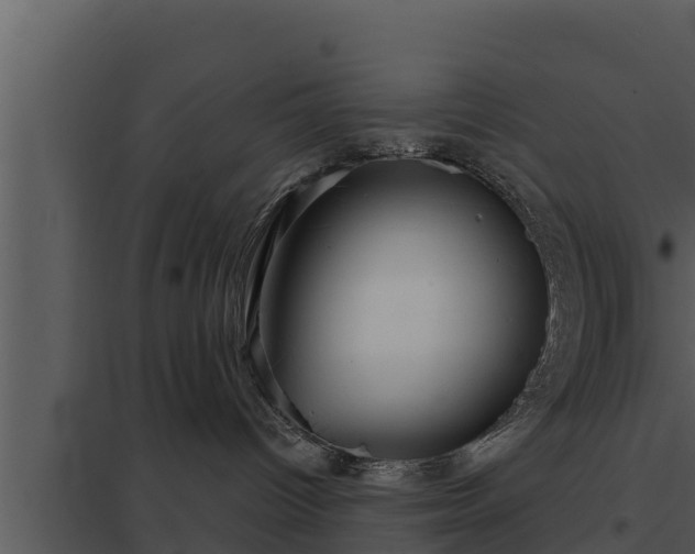 X0000097950096200804011645