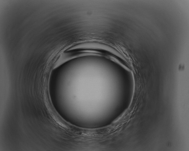 X0000097950097200804011644