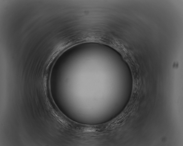X0000097950098200804011644