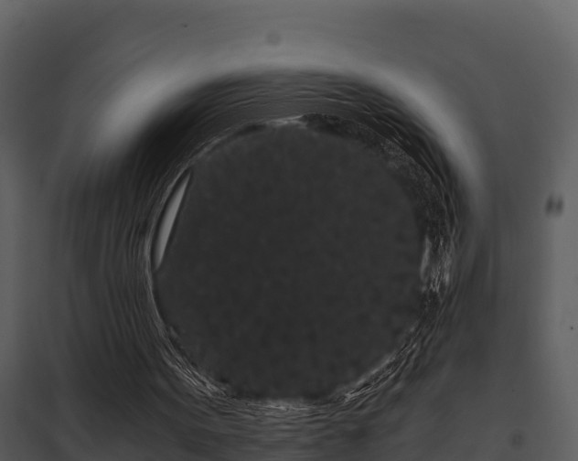 X0000097950099200804011644