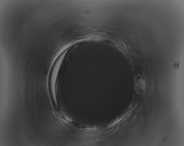 X0000097950100200804011644