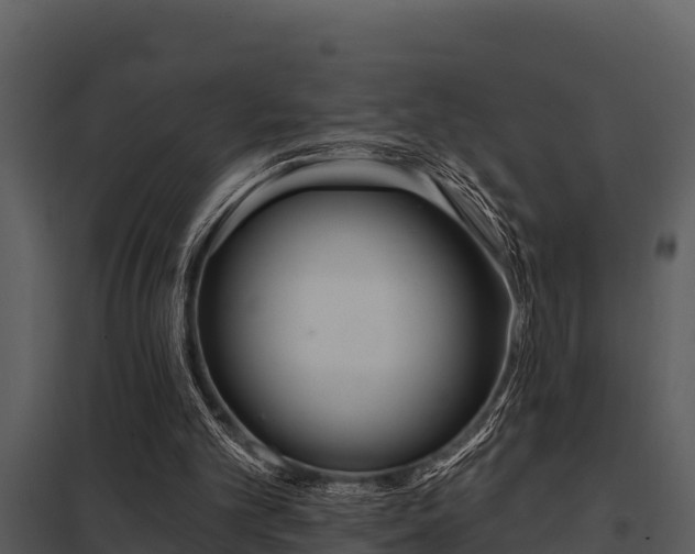 X0000097950101200804011644