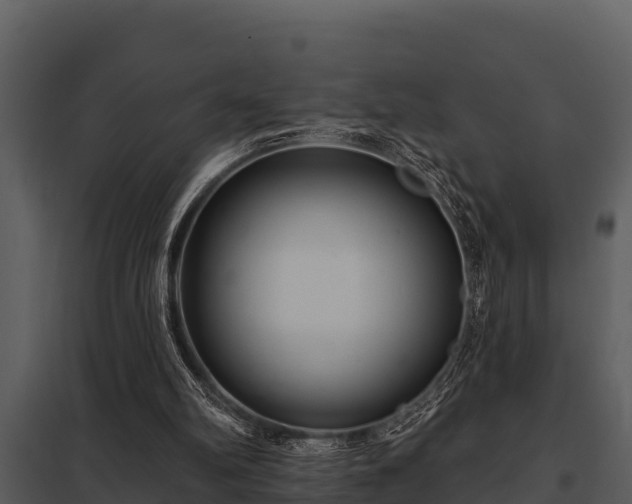 X0000097950102200804011644