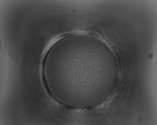 X0000097950103200804011644