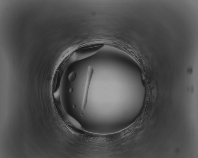 X0000097950104200804011644