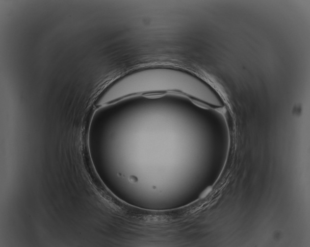 X0000097950105200804011644
