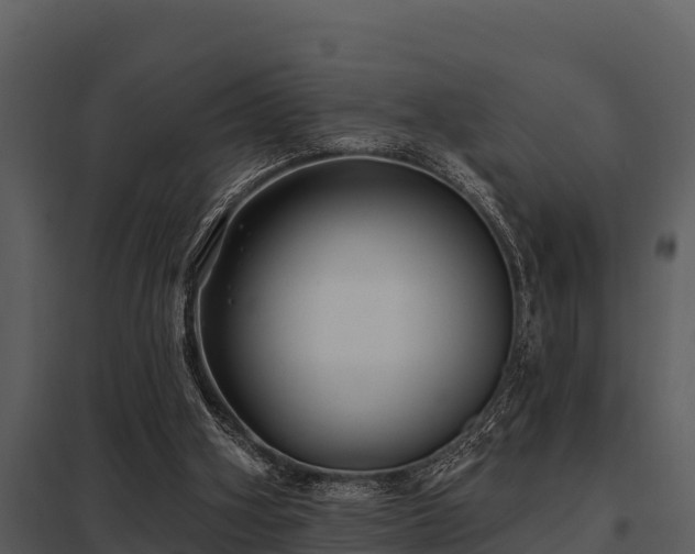 X0000097950106200804011644