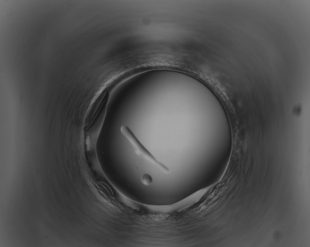 X0000097950108200804011644