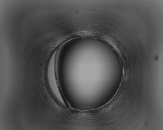 X0000097950109200804011644