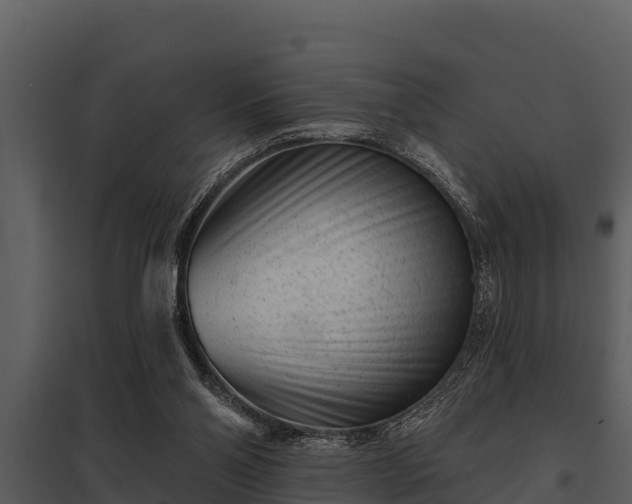X0000097950110200804011644