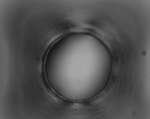 X0000097950111200804011644