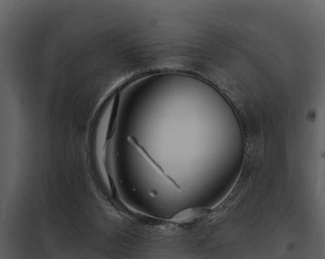 X0000097950112200804011644