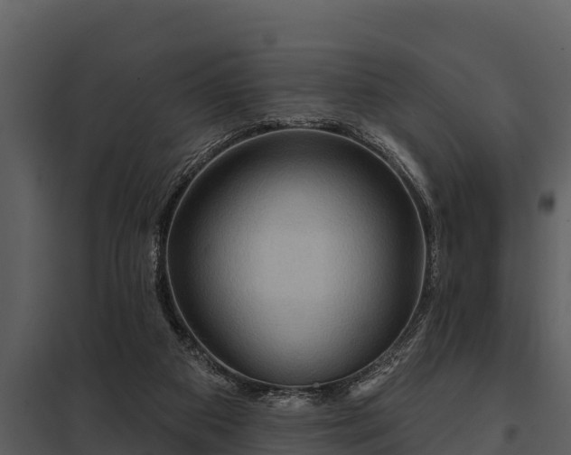 X0000097950113200804011644