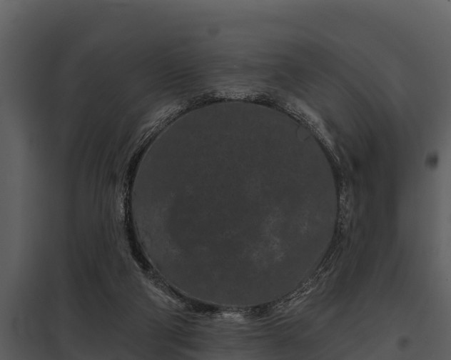 X0000097950114200804011644