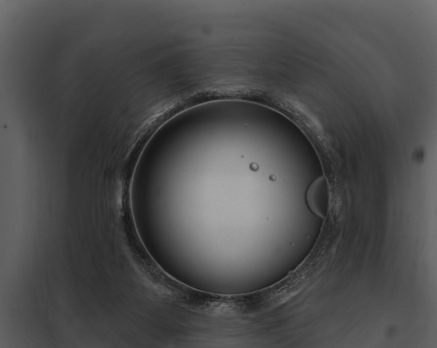 X0000097950115200804011644