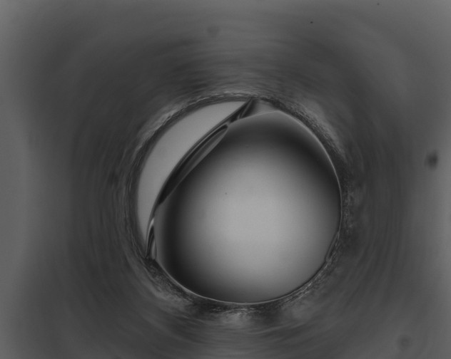 X0000097950116200804011644