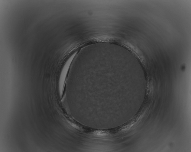 X0000097950117200804011644
