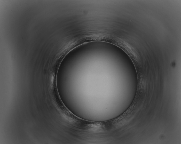 X0000097950118200804011644