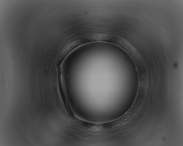 X0000097950119200804011644