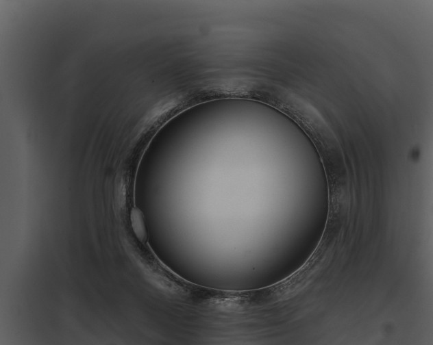 X0000097950120200804011644