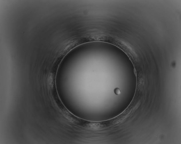 X0000097950121200804011644