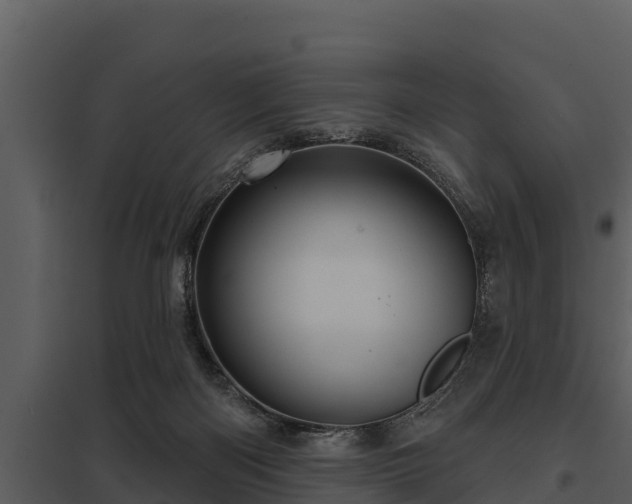 X0000097950122200804011644