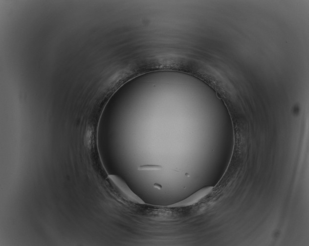 X0000097950123200804011644
