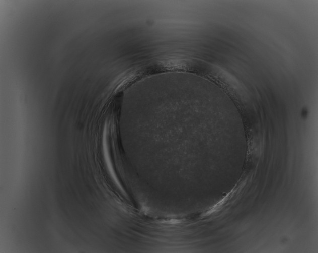 X0000097950124200804011643
