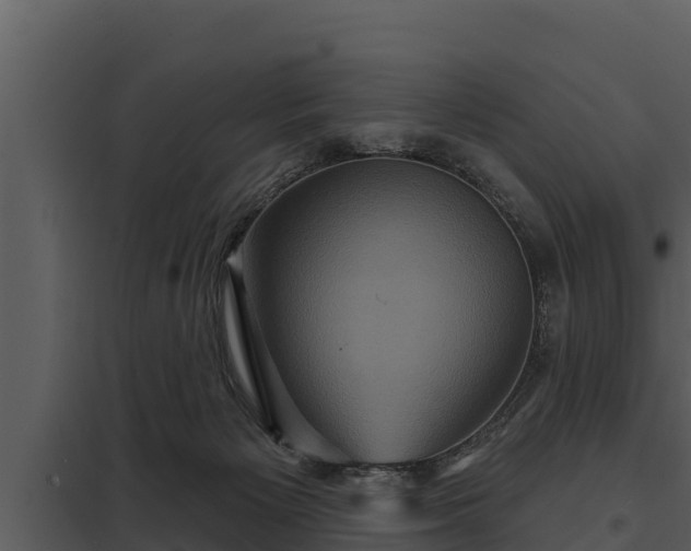 X0000097950125200804011643