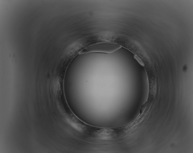 X0000097950128200804011643