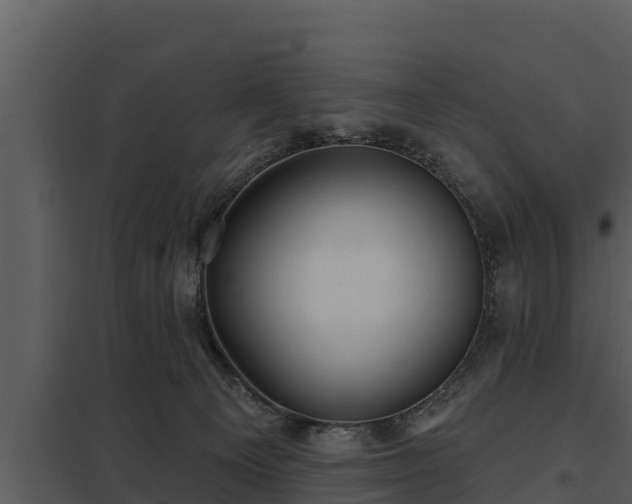X0000097950129200804011643