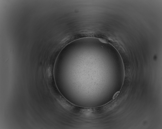 X0000097950131200804011643