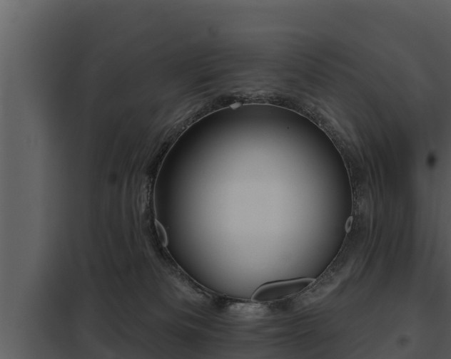 X0000097950133200804011643