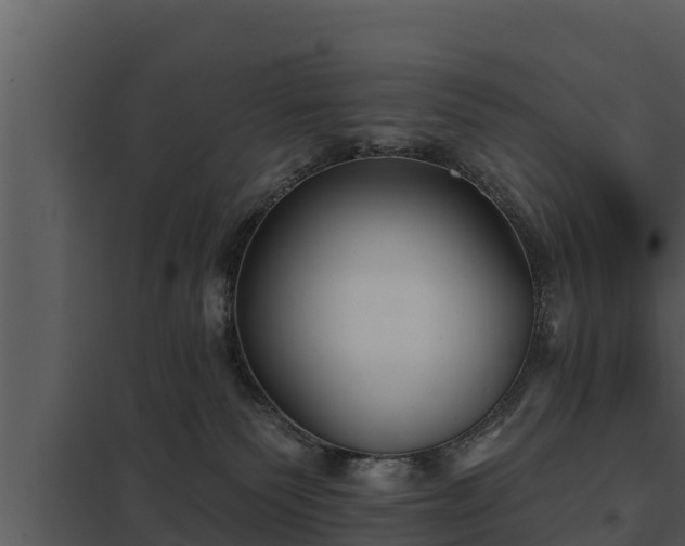 X0000097950135200804011643