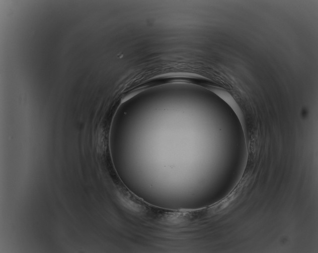 X0000097950136200804011643