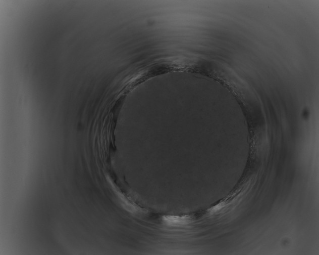 X0000097950137200804011643