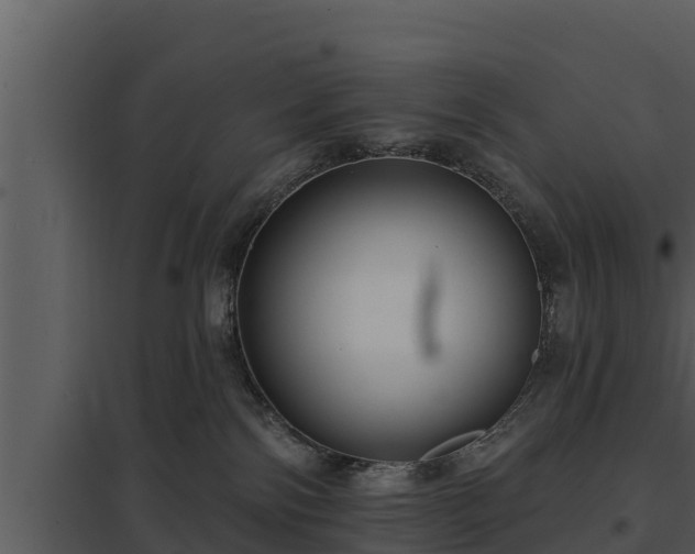 X0000097950138200804011643