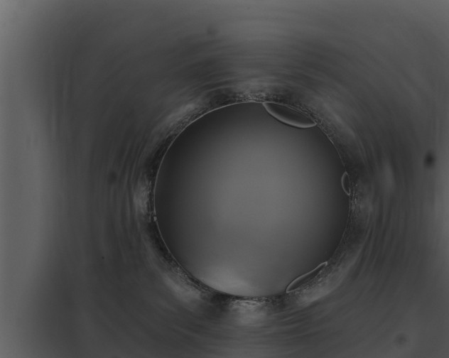 X0000097950139200804011643