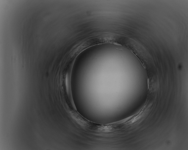 X0000097950140200804011643