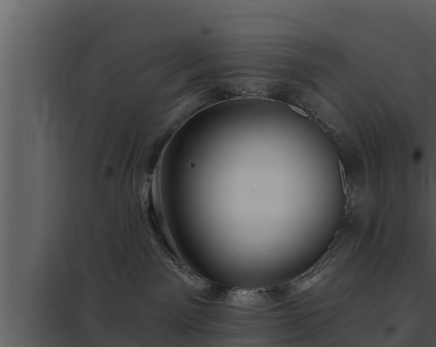 X0000097950141200804011643