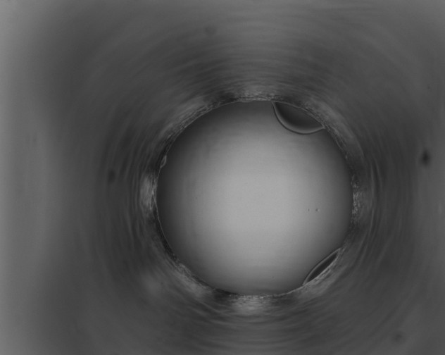 X0000097950142200804011643