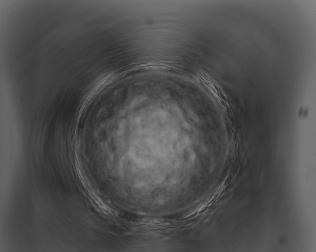 X0000097950145200804011643