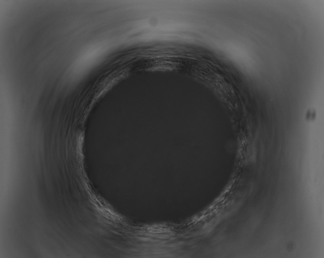 X0000097950146200804011643