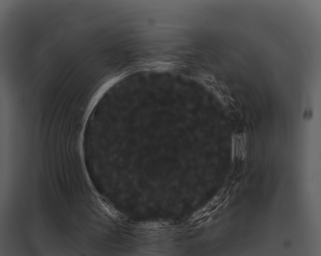 X0000097950147200804011643