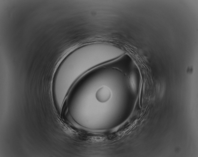X0000097950148200804011643