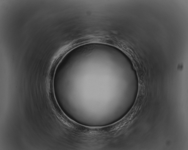X0000097950149200804011643
